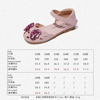 217227 Корейский фанат