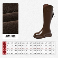 Французский ретро-коричневый 229259