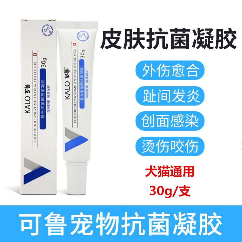 Pet Bite of Skin Infection Wound Inflamed Kitty Dog Toe Intercineal Cystic Inflammation of Anus Mastitis and Anal Periarthritis