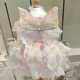 Rainbow Fairy Symphony Pink Butterfly Wings Spring and Summer Cat Bichon Teddy VIP Golden Retriever Corgi Fairy Skirt