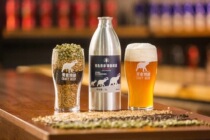 Tsingtao Beer Qingxiang craft beer Pearson Czech high-end banquet large aluminum cans gift 1L*6 cans