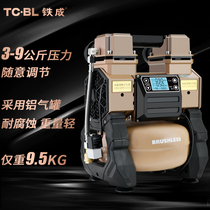 Iron gas pump permanent magnet frequency conversion air compressor portable small oil-free silent woodworking painting aluminum can grade spraying