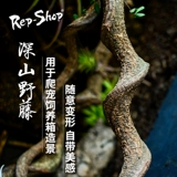 Восхождение на пейзаж для пейзажа для животных виноградных виноградных лоз