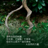 Восхождение на пейзаж для пейзажа для животных виноградных виноградных лоз