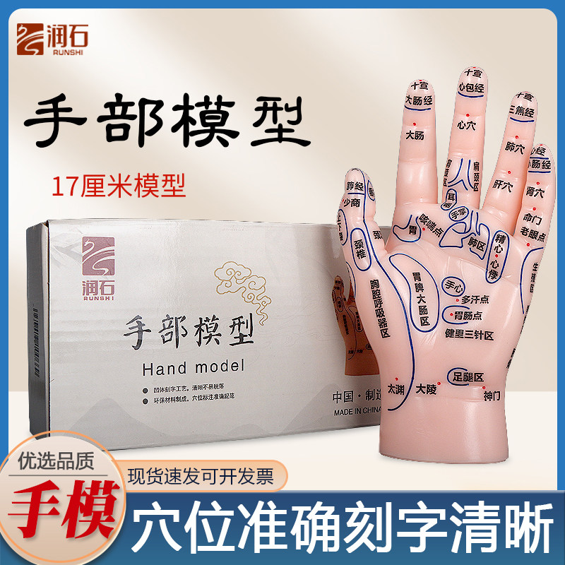 手部穴位模型按摩小儿推拿手中医大字高清手穴反射区刻字模具人体