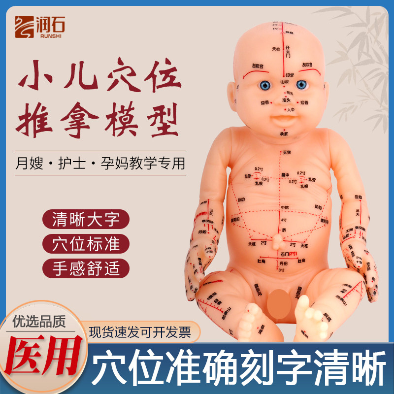 穴位娃娃模型儿童娃娃人体模型针灸中医通用穴位小儿推拿仿真模型