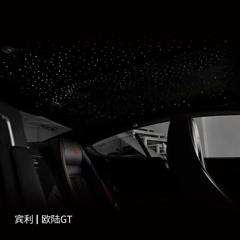 Alcántara Complete Vehicle Interior Upgrade Cladding Retrofit Custom Starry Sky Top Suede Ceiling Prepaid Deposit