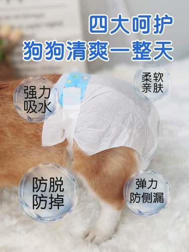 [Тигр] Собаки и собаки брюки мочи мужчины, собаки, собаки, физиологические штаны моча, моча, щенки, щенки, месяц тети маленьких собак