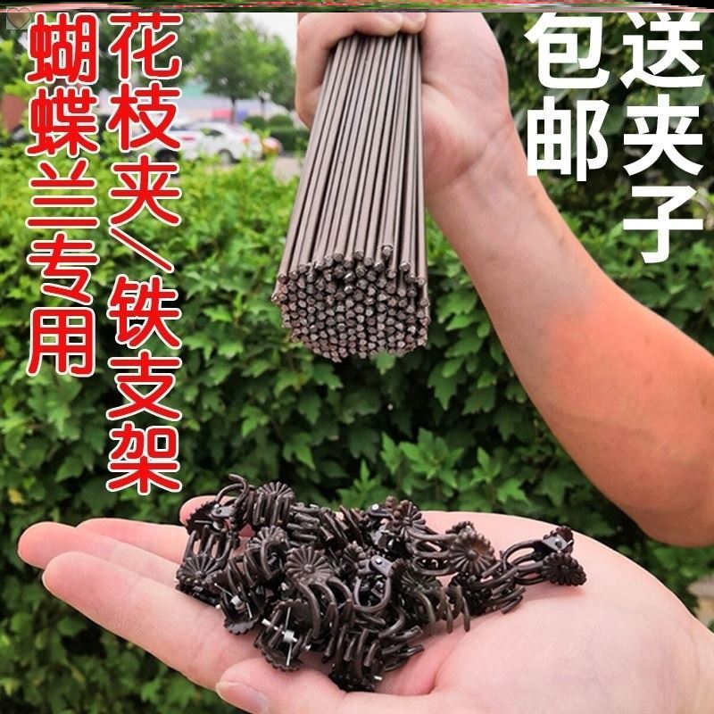 Flower Pole Flower Shelf Flower Shelf Flowers Green Plant Flower Art Branches Climbing Plant Fixed Clip Bracket Rod Vine Climbing Vine Class