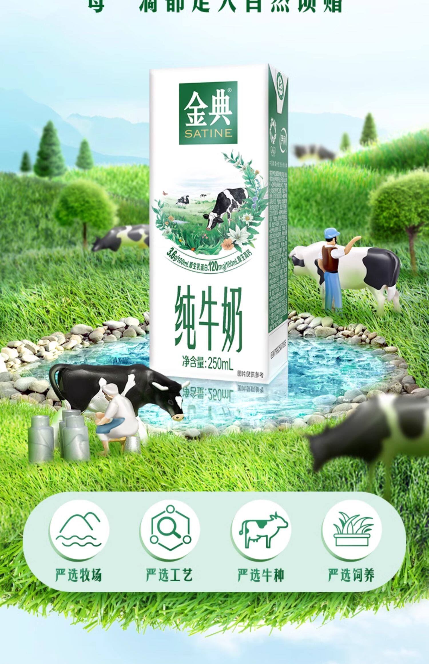 安享好物 安享B级纯奶-伊利金典 全脂纯牛奶 国标 
