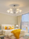 Designer Creative Personality Bauhaus Living Room Lamp Modern Simple and Atmospheric Bedroom French Light Luxury Restaurant Ceiling Lamp