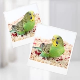 Петухолочное паряч