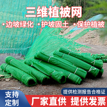 Three-dimensional vegetation network greening and grass-planting network slope soil stabilization three-dimensional geonet mat slope protection ecological green vegetation network