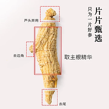 【官方旗舰店】正品西洋参切片[70元优惠券]-寻折猪