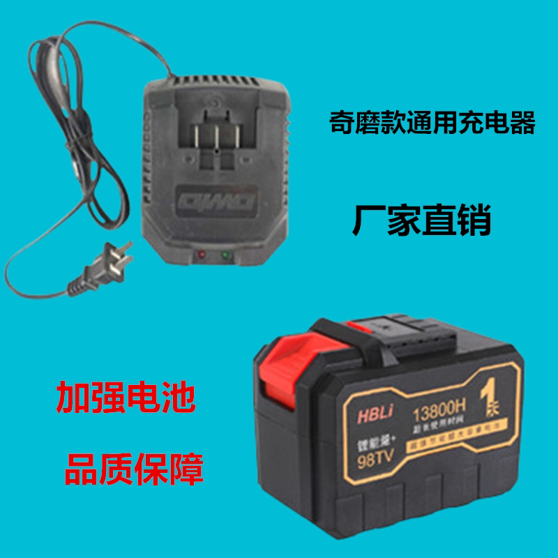 Zhejiang Qiging Ocean Ocean Ohinda Shengshun Ruikong Electric Staphong battery charger 98TV58