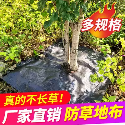 Black weeding and grass-proof cloth Fruit orchard greenhouse artifact gardening durable cover grass suppression grass cloth film breathable moisturizing