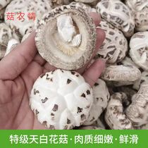 New goods Henan Xixia special selection of white mushroom dry goods 500g farm home-produced wild basswood mushrooms