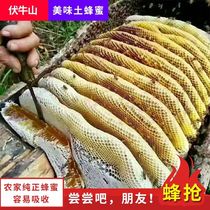 Wild soil honey 2Kg pure natural farmhouse self-produced no added deep mountains mature nectar winter crystallization