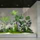 Artificial Plant Landscaping, Monstera Plant, Fake Greenery, Monstera Tree, Company Restaurant, Hotel Decoration under Stairs