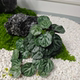 Artificial Wall-Mounted Plant, Climbing Plant, Monstera Leaves, Realistic Watermelon Leaves, Desktop Decoration, Fake Greenery, Landscaping Accessories