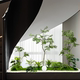 Artificial Plant Landscaping Combination: Painted Wood Maple Tree, Fake Green Plants for Indoor Landscapes, Window Displays, Company and Restaurant Decorations