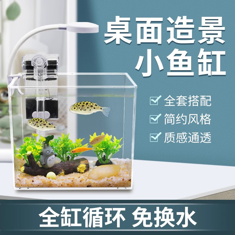 Desktop Small Fish Tank Pufferfish Betta Zebra Guppy Small Fish Tank