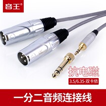 Soundking Sound King size three-core 3 5 turn dual XLR male 6 5 one point two cannon mixer connection