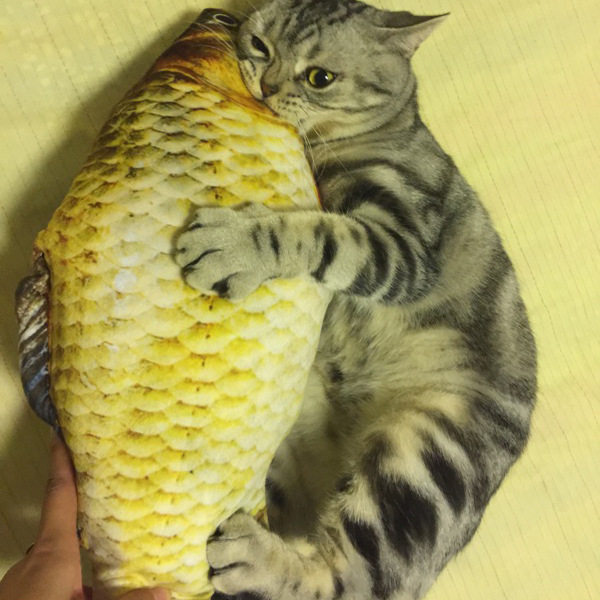 Mint Fish Cat Toy Cat Pillow Pillow Pet Toy Simulation Fish Toy Cat Mint Toy