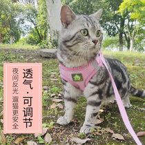 Kitty traction rope anti-escape Cat Rope Cat Rope Cat Traction Out of traction rope Cat God Instrumental Cat Chain