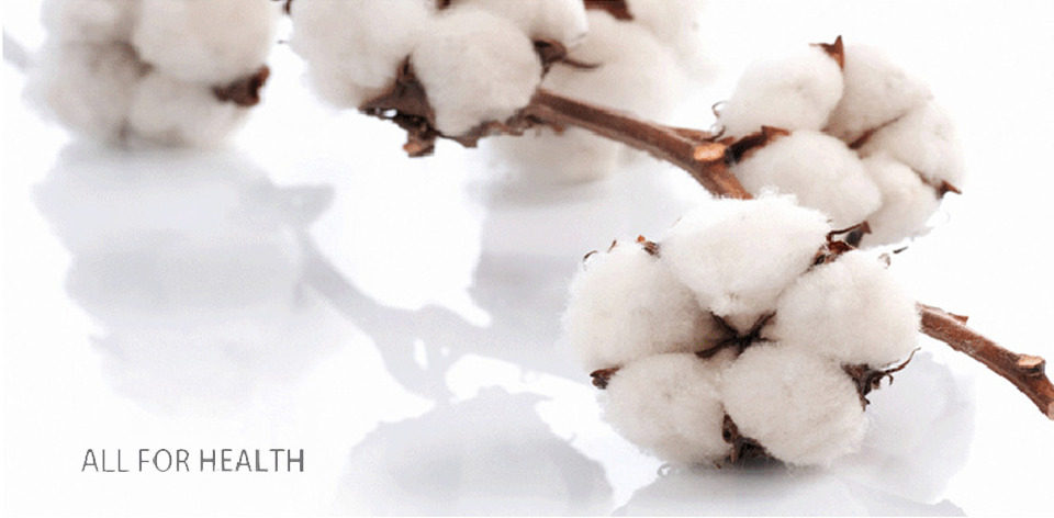 O1cn01d5l0y31xt36yqc5hf _ !! 2201285666500-0-cib.png