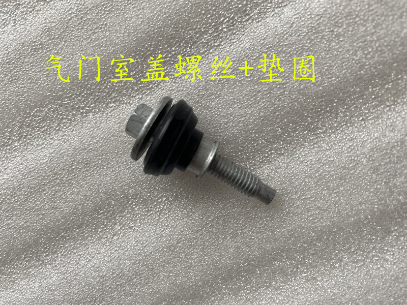 Suitable for Huatai Baolige Santa Fe OED2 0T valve cover screw valve cover screw washer new - Taobao