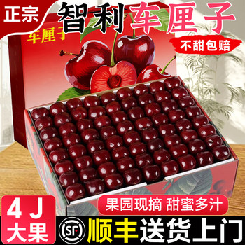Fresh cherries delivered by sf express to your door