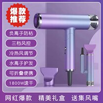 Home Negative Ion Folding Hairdryer Student Dormitory Small Mute Size Power Hairdryer Dry