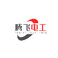腾飞电工