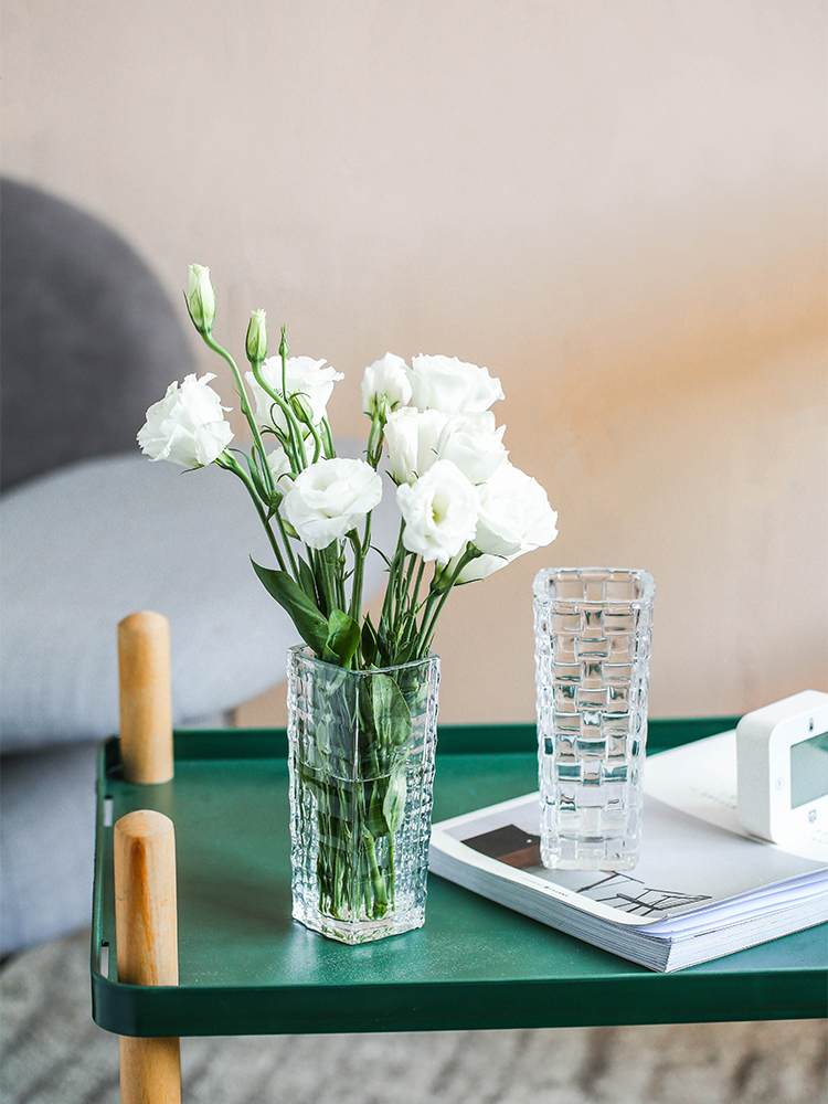 ins wind small vase ornaments Living room flower glass transparent net red dining table Hydroponic flowers Nordic creative simplicity