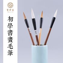 Xuefengzhai brush elementary school students beginner entrance and calligraphy practice advanced G038 pure tail green pine hundred pure wolf seven purple three sheep pure sheep large medium and small Kai grass seal Chinese painting flower and bird coloring