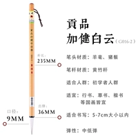 Дань Цзяджянчжонг Байюн G016-2