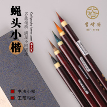 Snowy Peak Fasting Flowers with small block of flowers Written by brush Spring Flowers Summer Lotus Flowers Summer Plum winter Mei Ling Colorful Ma Mau Niu Wolf and millennials Adults Practice Calligraphy Fly Heads Small Words of the Brush Pen Country Paintings