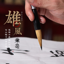 Xuefeng Jaixiong Wind and Calligraphy Book Block Letters of the Great Calligraphy Special Yan Calligraphy Special Yan Calligraphy Brush Wolfs Brush Wolf No. In Kai Chi beginners Practicing Calligraphy Master Suit High-end Professional Class of the Top  Brand