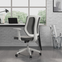 St Auds ergonomic computer chair office chair modern minimal swing chair home learning chair