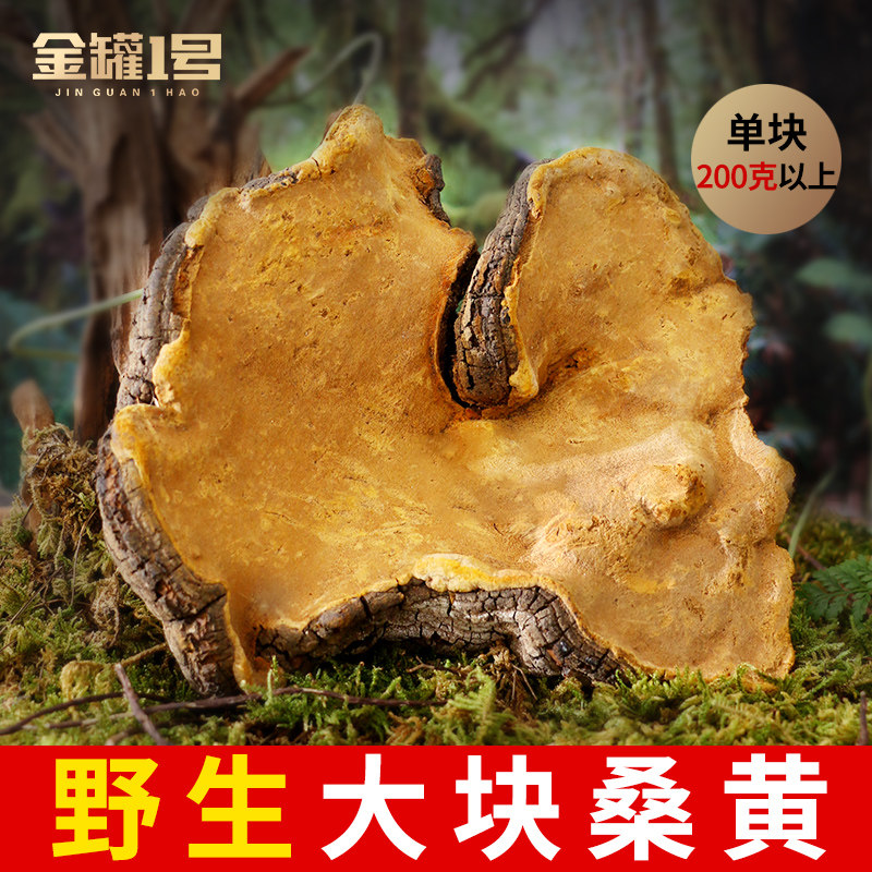 Tibet oversized wild Mulberry Mulberry Mulberry perennial over 200g Mulberry wand Ganoderma lucidum for more than 10 years not Changbai Mountain