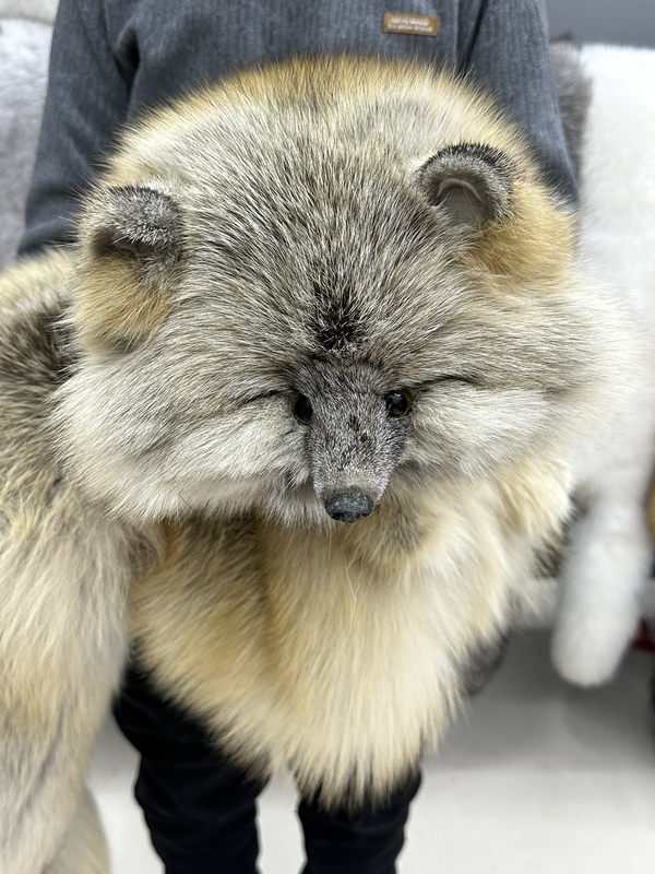 Whole Fox Skin with Neck, Head, Tail, and Legs