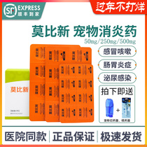 Hanweimobi New Amoxicillin Clavulanic Acid Potassium Tablets Pet Dog Cat Anti-inflammatory Cold Medicine 50 250 500mg