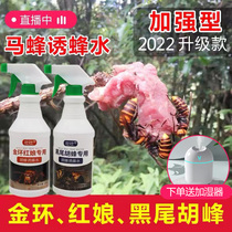 Wasp luring water wild wasp luring water gold-ringed bee matchmaker bee big black bee black-tailed bee yellow-waisted wasp suit