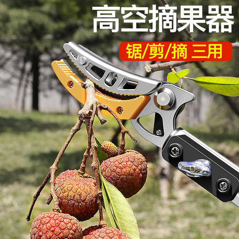 专用剪刀剪枝剪花木手动高枝剪伸缩摘果剪 高空摘枇杷荔枝采摘器