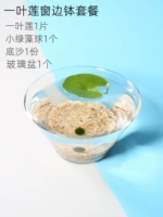 Аквариум обстановка одного лицевого края лотоса