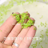 1 чашка кунжута (около 2*2 см.