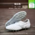 Little plum Mizuno Mizuno MONARCIDA NEO 2 trung cấp AS gãy đinh AG đinh ngắn giày bóng đá người lớn 	tất bóng đá  chính hãng	 Bóng đá