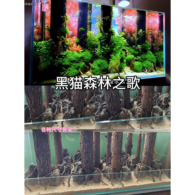 Black Cat Knight Song of the Forest Aquarium Aquatic Plant Tank Landscaping Song of the Forest Champagne Wood Fir Forest Scene