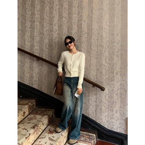 pusumede Осенний ретро короткий трикотажный свитер, кардиган, круглый воротник, оверсайз